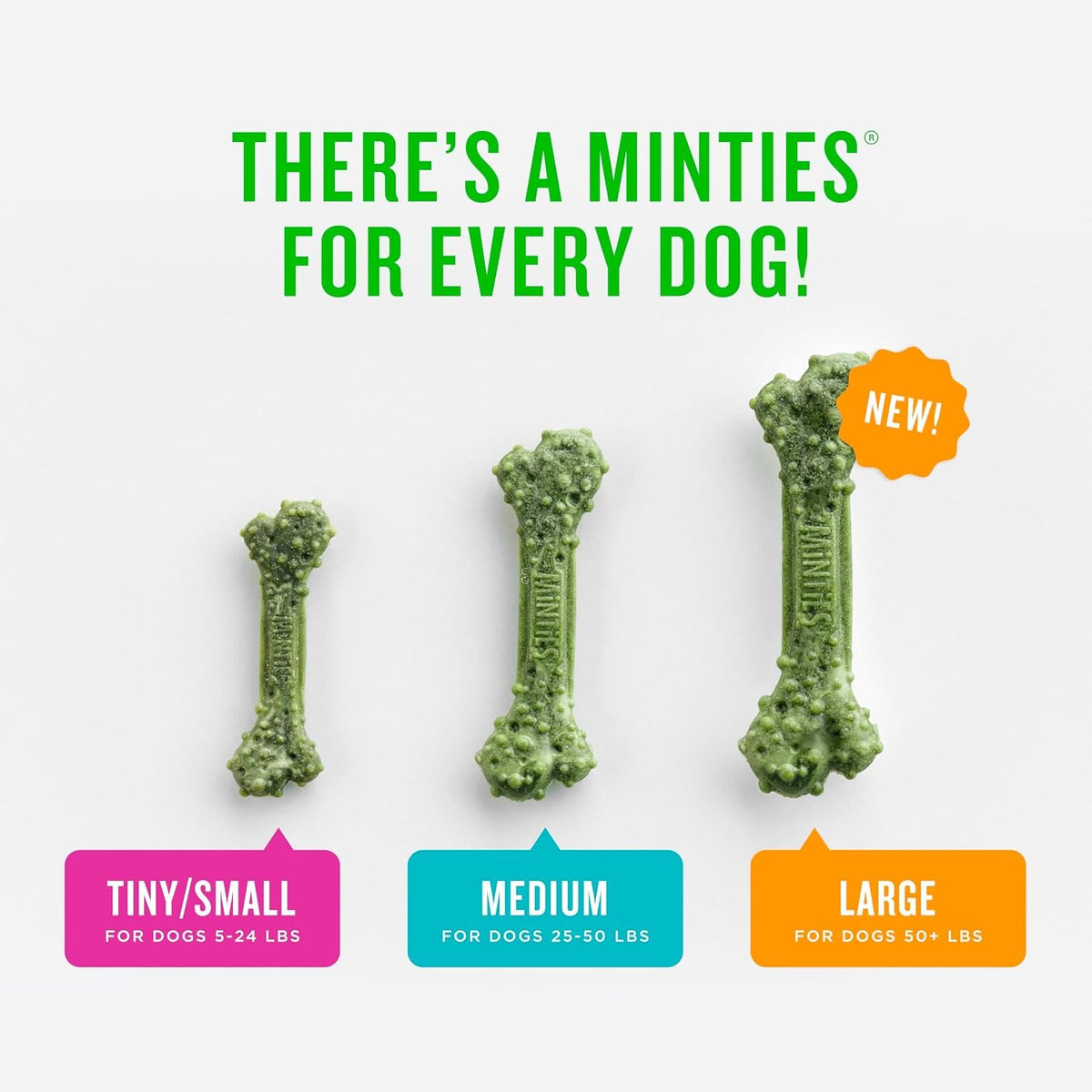 Minties dental bones in three sizes